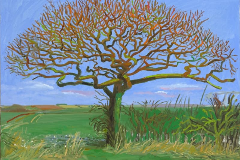 Painting of a bare tree, with many small branches, in a green field with a blue sky.