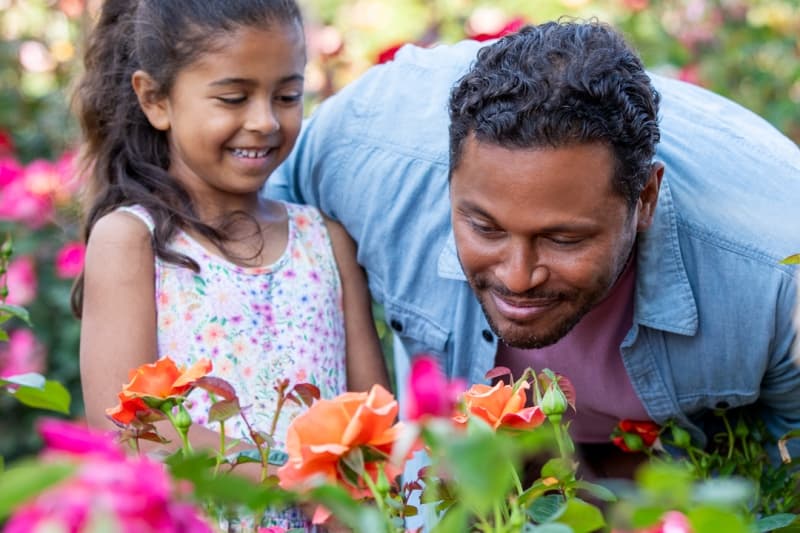 A young girl and adult man smile as they smell colorful roses in a garden.