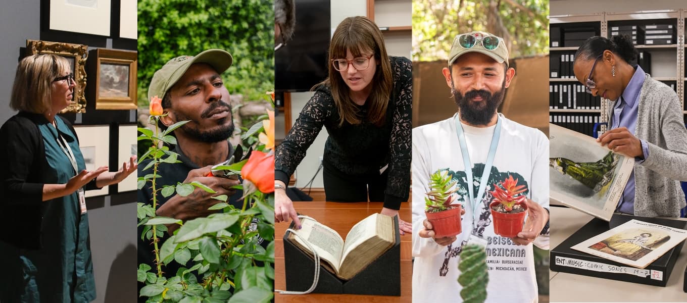 A composite image featuring five photos of staff performing various roles and work environments.