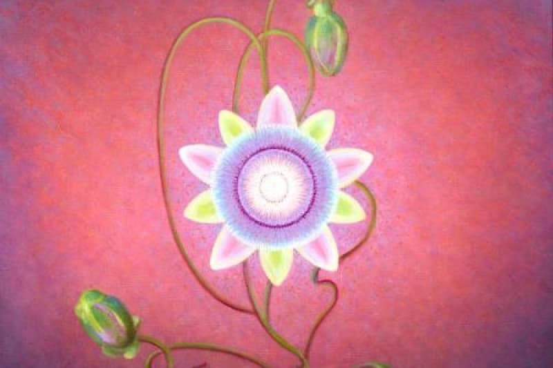 A glowing purple, pink, and green flower set against a pink and purple background.