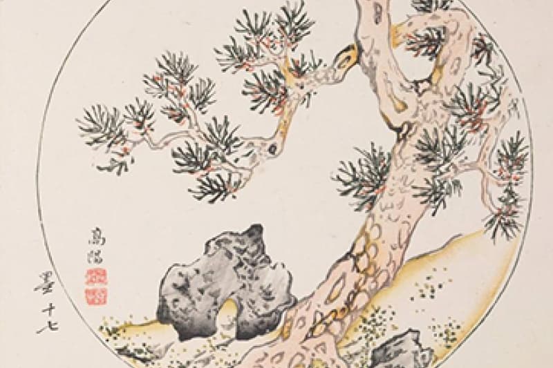 Ink and color on paper depicting a pine tree on a landscape.